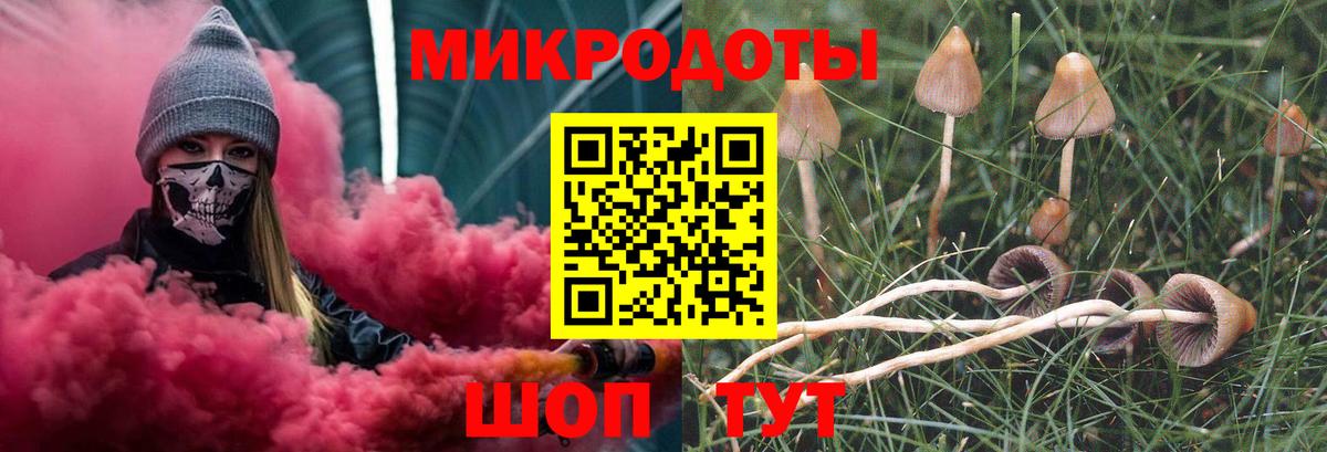 Псилоцибиновые грибы Psilocybine cubensis  Вход с VPN  Ртищево 