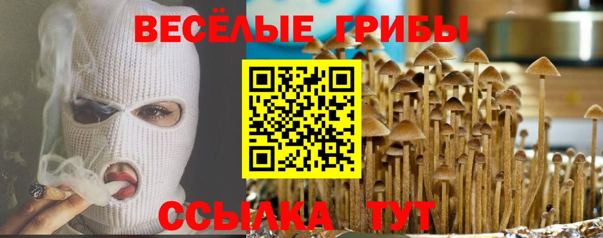 Бутират Ртищево